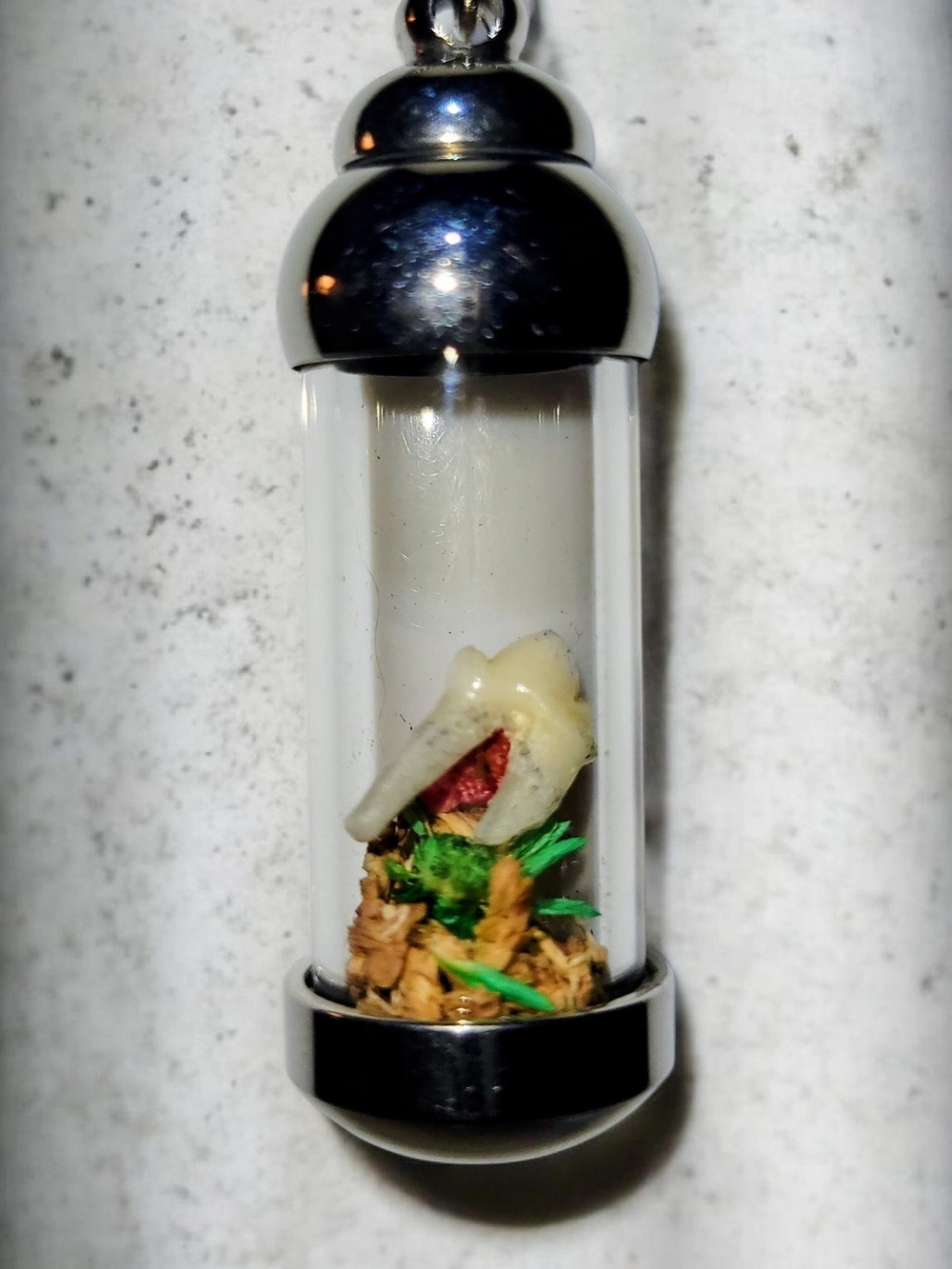 REAL Feline Tooth Vial Pendant with Natural Floral Accents.